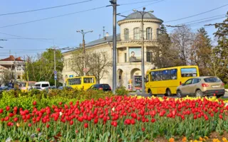 «Тюльпановый взрыв» в Севастополе — в городе расцвели 120 тысяч цветов