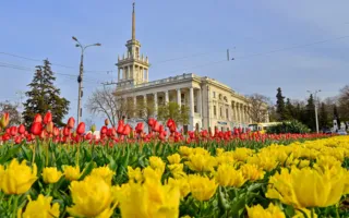 «Тюльпановый взрыв» в Севастополе — в городе расцвели 120 тысяч цветов