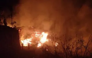На пожаре в Крыму спасли павлина (фото)