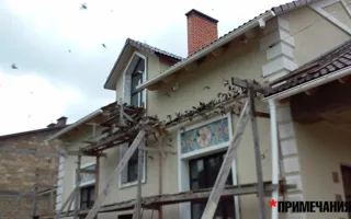 Мистика под Севастополем: жилой дом атакуют обезумевшие ласточки (фото, видео)