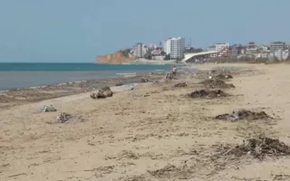 Пляж лагеря «Нахимовец» в Севастополе утопает в мусоре (фото)