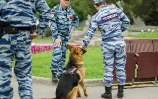 Парад Победы состоялся в Севастополе — фоторепортаж