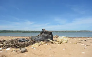 Аксёнову стыдно за состояние пляжей в Керчи (фото)