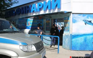 В Севастопольском дельфинарии устроили «шоу» с кавказцами
