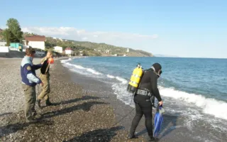 На крымском пляже нашли миномётные мины (фото)