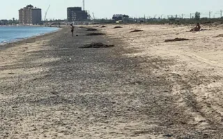 Мэр Евпатории бегает по пляжам в поисках нарушений (видео)