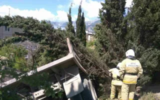 В Крыму грузовик въехал в детскую площадку — двое погибших (фото)