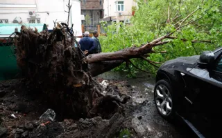 Ураган в Москве стал самым смертоносным за последние десятилетия