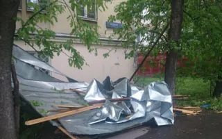 Ураган в Москве стал самым смертоносным за последние десятилетия