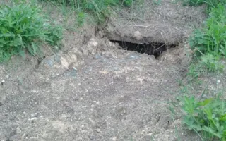 «Чёрные археологи» разворовали братскую могилу времён ВОВ