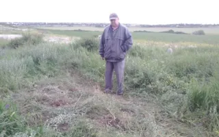 «Чёрные археологи» разворовали братскую могилу времён ВОВ