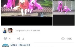 В Крыму живодёры продают розовых собак (фото)