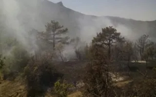 ​МЧС предотвратили крупный пожар в районе Коктебеля (фото)