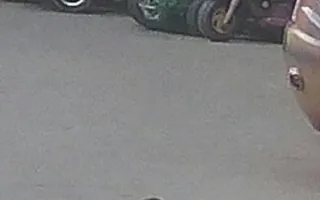 В детском парке Севастополя разгуливают крысы — фотофакт 