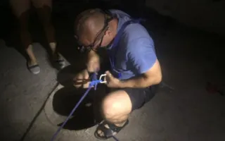 В Севастополе из заброшенного колодца достали собаку 