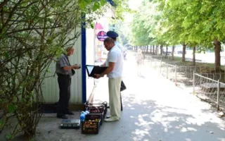 В Крыму поймали нелегальных продавцов с тоннами арбузов (фото)