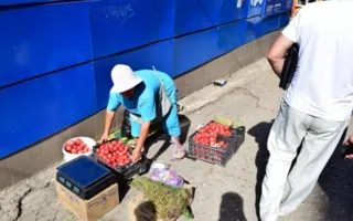 В Крыму поймали нелегальных продавцов с тоннами арбузов (фото)