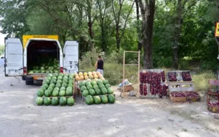 В Крыму поймали нелегальных продавцов с тоннами арбузов (фото)