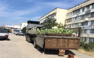 В Крыму поймали нелегальных продавцов с тоннами арбузов (фото)