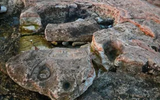 Загадки Херсонеса: наскальная живопись или современное искусство (фото)