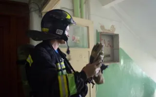 В севастопольском общежитии предотвратили масштабный пожар (фото)