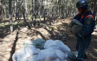 В Балаклавском районе обезвредили бомбу времён ВОВ (фото, видео)