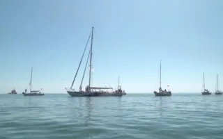 Парусная регата прошла под аркой Крымского моста (фото, видео)