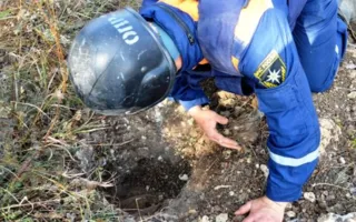 Схрон советских снарядов обнаружили в Севастополе (фото, видео)