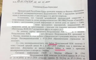 Мизулина «отругала» крымских грубиянов-прокуроров за хамские письма (фото)