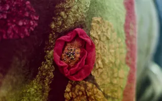 Мастера со всей Украины продемонстрировали «Элегантный войлок»