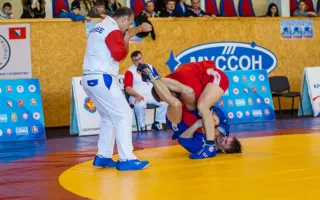Севастопольские самбисты доказали своё мастерство