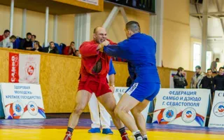 Севастопольские самбисты доказали своё мастерство