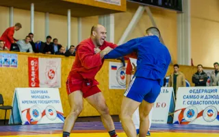 Севастопольские самбисты доказали своё мастерство