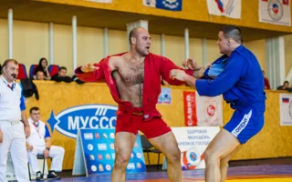 Севастопольские самбисты доказали своё мастерство