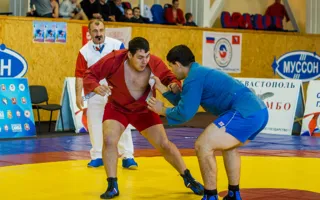 Севастопольские самбисты доказали своё мастерство