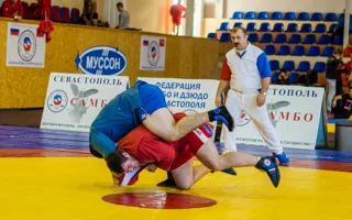 Севастопольские самбисты доказали своё мастерство