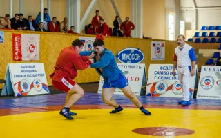 Севастопольские самбисты доказали своё мастерство