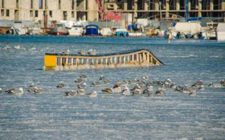 В Севастополе «парит» море и растут ледяные «сталактиты»