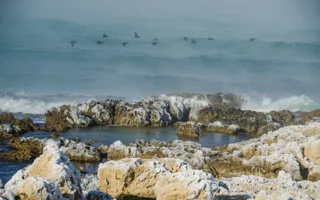 В Севастополе «парит» море и растут ледяные «сталактиты»