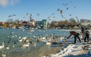 В Севастополе «парит» море и растут ледяные «сталактиты»