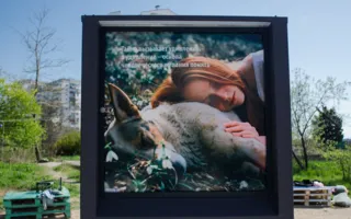 Первая уличная галерея «Парк» открылась в Севастополе