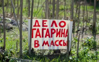 Первая уличная галерея «Парк» открылась в Севастополе