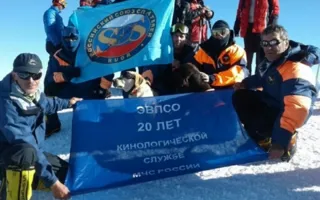 Спасатели МЧС РФ поднялись на Эльбрус со служебными собаками 