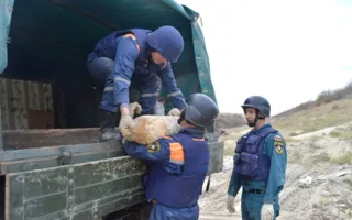 Авиабомбы времён ВОВ обезврежены в Севастополе