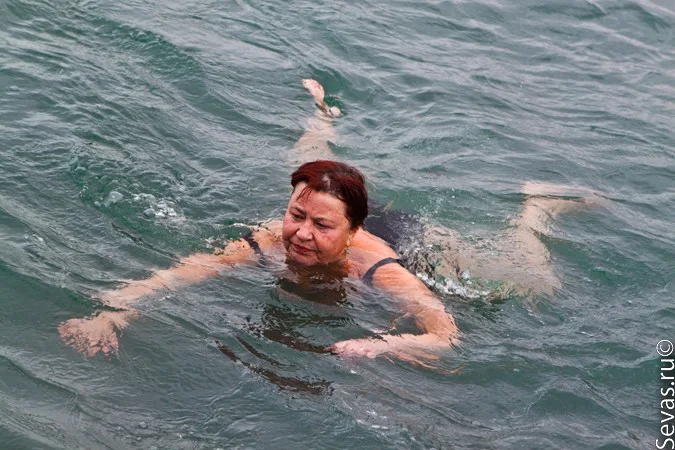 новости Севастополя, моржи Севастополь, зимнее купание Севастополь, слет моржей Севастополь