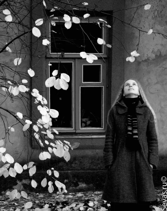 выставки Севастополь, севастопольские фотографы, фотографы Севастополя, выставка Романтическая фотография, новости Севастополя