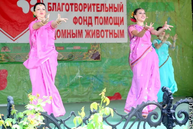 новости Севастополя, благотворительность Севастополь, акция Верный друг, благотворительный концерт Верный друг, защитники животных Севастополь, выставки Севастополь, выставки Севастополя, выставка бездомных животных