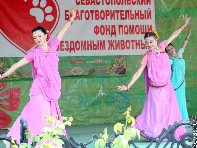 новости Севастополя, благотворительность Севастополь, акция Верный друг, благотворительный концерт Верный друг, защитники животных Севастополь, выставки Севастополь, выставки Севастополя, выставка бездомных животных