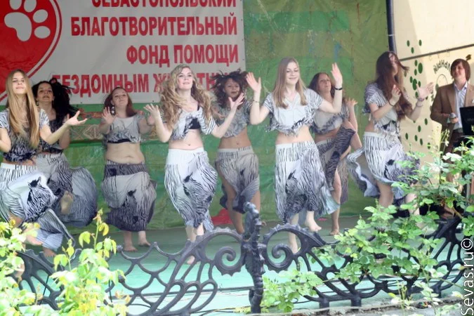 новости Севастополя, благотворительность Севастополь, акция Верный друг, благотворительный концерт Верный друг, защитники животных Севастополь, выставки Севастополь, выставки Севастополя, выставка бездомных животных