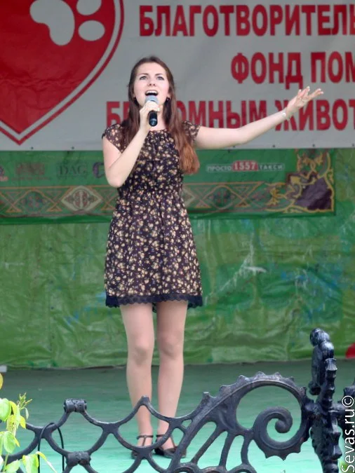 новости Севастополя, благотворительность Севастополь, акция Верный друг, благотворительный концерт Верный друг, защитники животных Севастополь, выставки Севастополь, выставки Севастополя, выставка бездомных животных